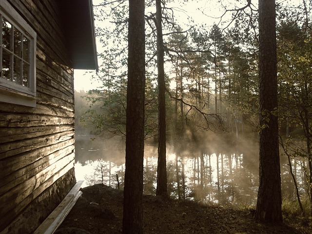 forest cabin photo