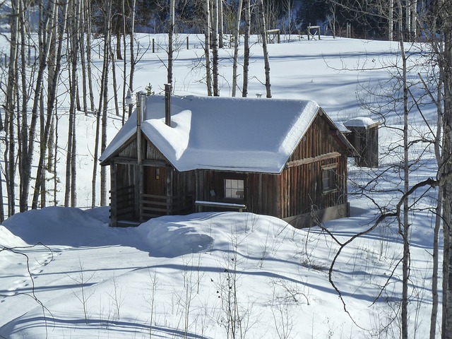 snow cabin photo