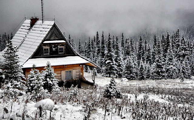 cabin snow photo
