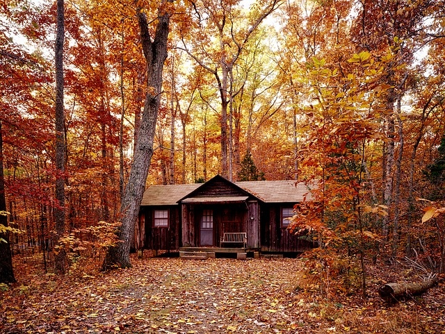 log cabin photo