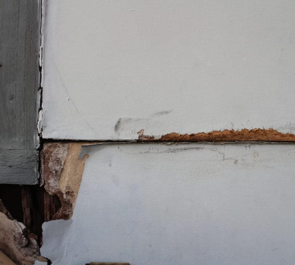Damaged wood lap siding of a house exterior. The wooden building material is rotting and the grey paint is chipping