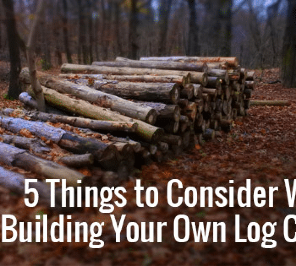 build your own log cabin